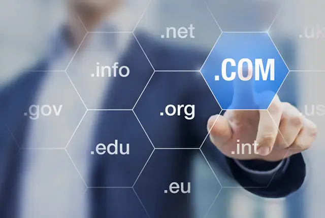 domain names