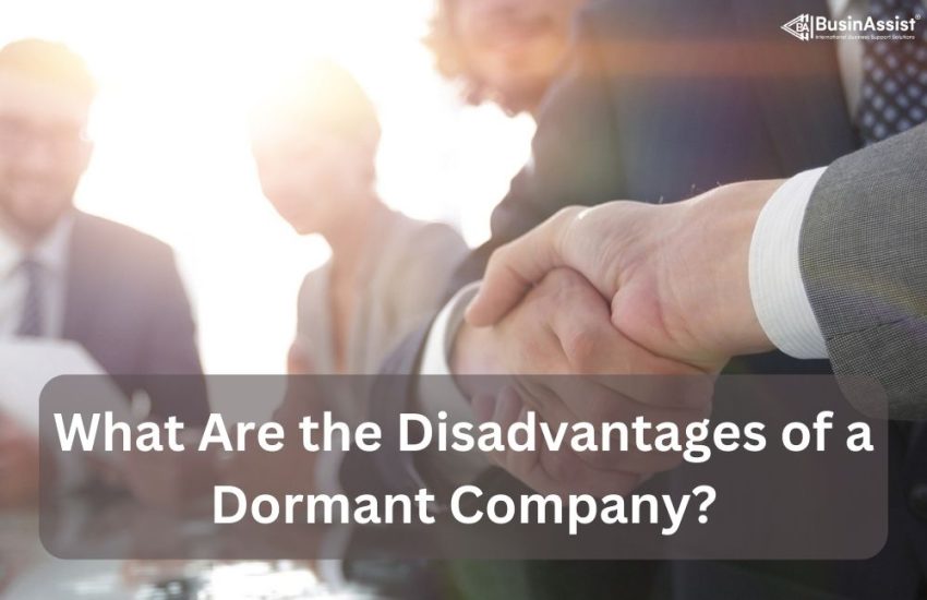 Disadvantages of Dormant Company