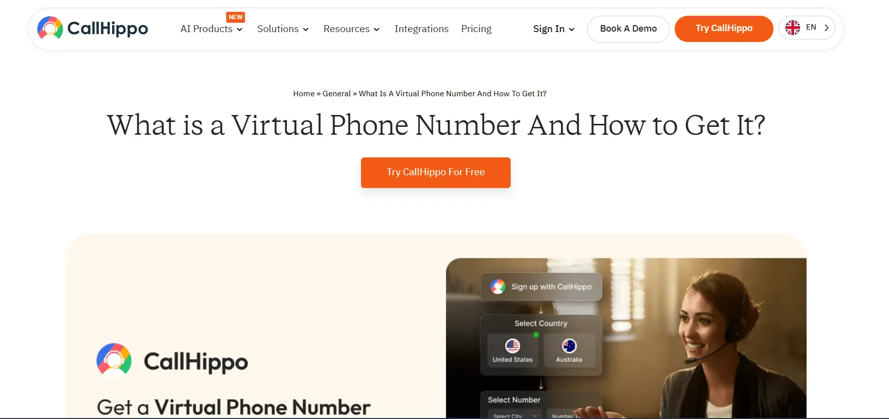Call Hippo virtual number